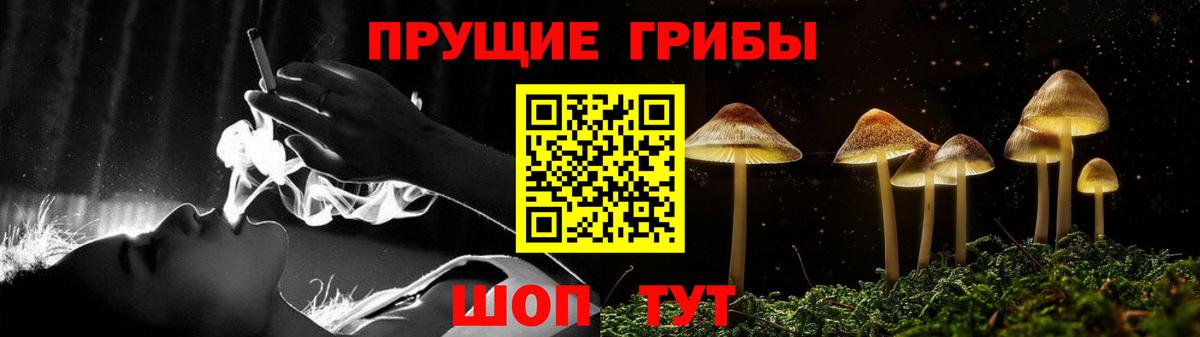 Галлюциногенные грибы Psilocybine cubensis  Вход с VPN  даркнет сайт  Псилоцибиновые грибы Magic Shrooms  Искитим 